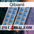 Qibianli 23